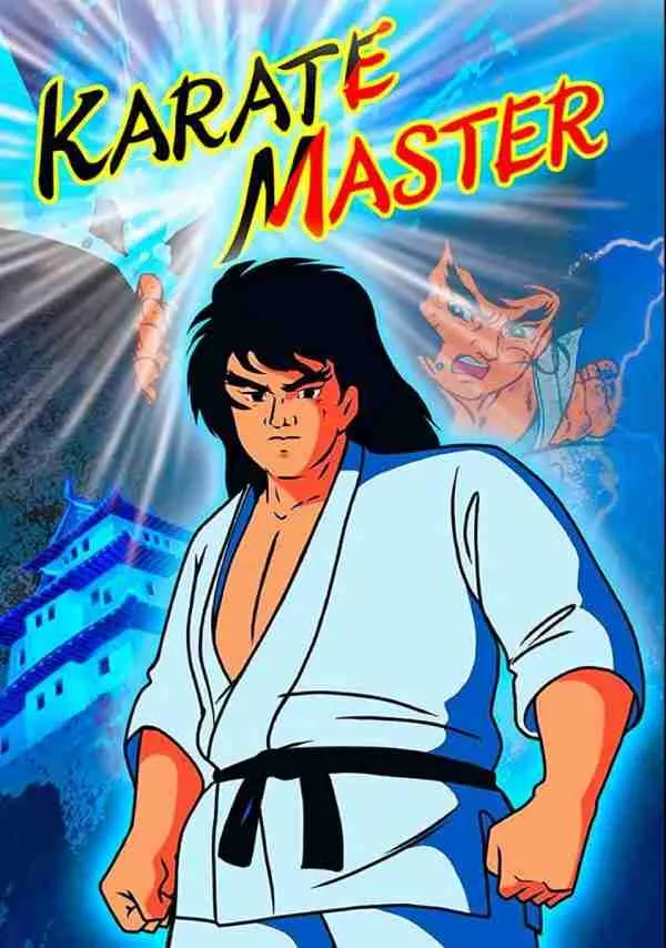 KARATE MASTER 1973 COMPLETE JAPANESE ANIME TV SHOW WITH ENGLISH SUBTITLES 4 DISC DVD-R BOX!