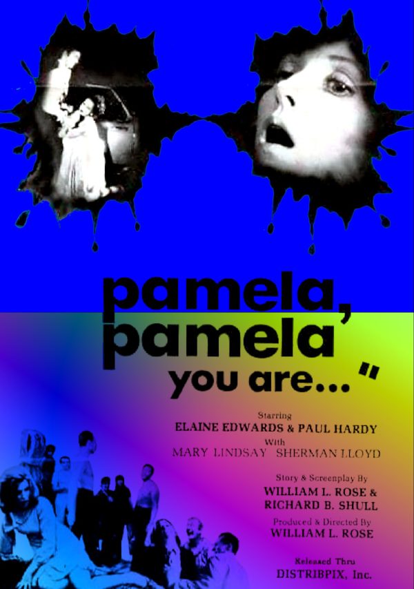 PAMELA, PAMELA, YOU ARE... 1968 WILLIAM ROSE NANCY KING NY ROUGHIE DVD-R!