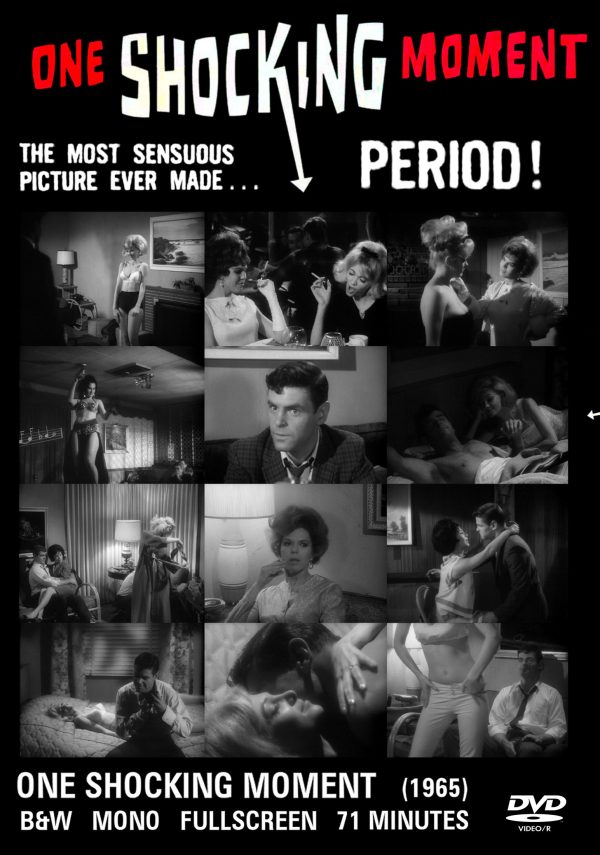 ONE SHOCKING MOMENT 1965 TED V MIKELS LOS ANGELES SUBURBAN AFFAIR SCANDALOUS SEXPLOITATION DVD-R!